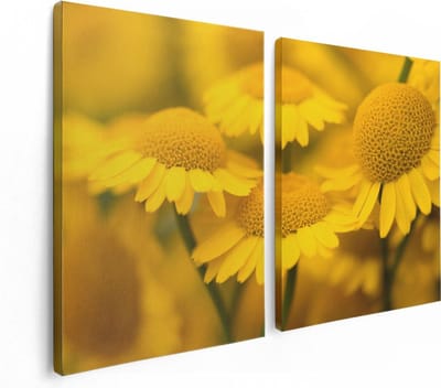 Artaza Canvas Schilderij Tweeluik Gele Kamille Bloemen - 120x80 - Foto Op Canvas - Canvas Print