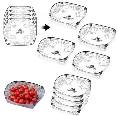 Opvouwbare bordenset – 20 stuks – Draagbare inklapbare borden – Voor lunch & familiepicknicks – Afmeting 20×19×5,5 cm