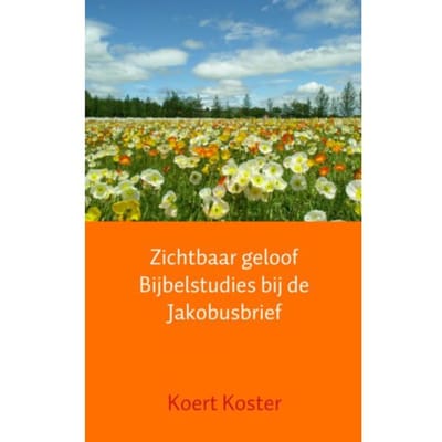 Zichtbaar Geloof Bijbelstudies Bij De Jakobusbrief - Koert Koster