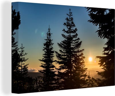 Canvas Schilderij Zonsopkomst nationaal bos - 90x60 cm - Wanddecoratie