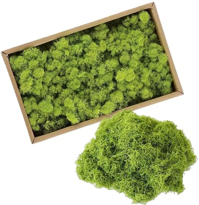 Dailygoods - Mos om te knutselen, 270 g, natuurlijk decoratief mos om te knutselen, mos, knutselmos, geconserveerd mos, doe-het-zelf, huisdecoratie, Pasen, mockup maken