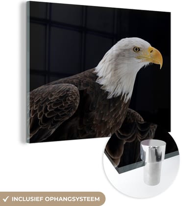 MuchoWow® Glasschilderij 160x120 cm - Schilderij acrylglas - Adelaar - Vogel - Snavel - Zwart - Foto op glas - Schilderijen