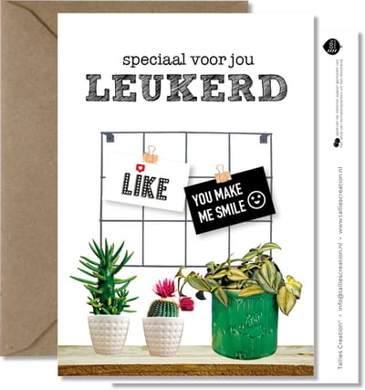 Tallies Cards - greeting  - wenskaarten - Leukerd - Plant  - Set van 4 ansichtkaarten - valentijnskaart - valentijn  - moeder - mama - liefde - Inclusief kraft envelop - 100% Duurzaam