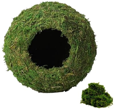 Solidchoice- Reptielenverblijf Vochtige Schuilplaats - Schuilplaats voor Gekko's/Kikkers - Vivarium Decor - Bioactieve Habitatdecoratie - Natuurlijk Groen Mos - 4-7 Inch