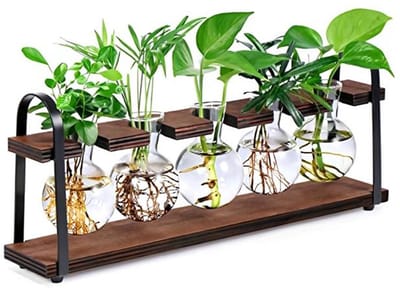 Maison Elara - Bloemenvaas met glazen reageerbuisjes en metalen standaard, houten propagatiestation voor tafeldecoratie
