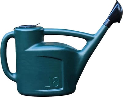 Tuingieter Lange Uitloop - Waterkan Planten - Planten Water Geven - Afneembaar Mondstuk - 6 Liter - One Color