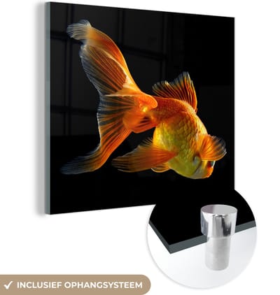 MuchoWow® Glasschilderij 90x90 cm - Schilderij acrylglas - Goudvis - Dieren - Zwart - Foto op glas - Schilderijen