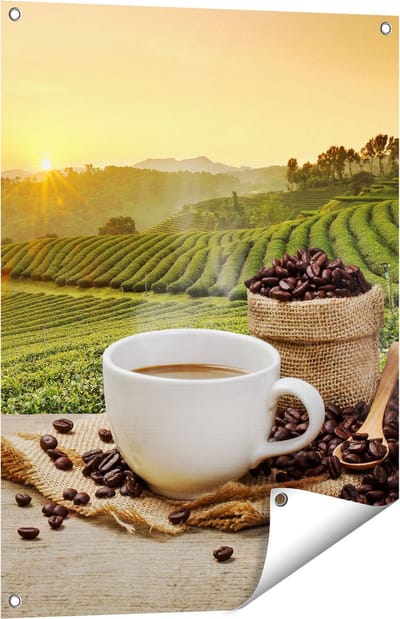 Gards Tuinposter Kopje Koffie op een Plantage Achtergrond6 - 60x80 cm - Tuindoek - Tuindecoratie - Wanddecoratie buiten - Tuinschilderij