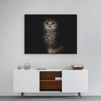 Artaza Canvas Schilderij Uil - 80x60 cm - Wanddecoratie Vogels - Muurdecoratie Dieren - Schilderijen Op Canvas