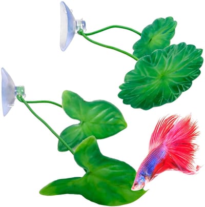Dailygoods- Aquariumdecoratie Natuurlijke Rustplaats - Kunststof Bladeren - Betta/Vissen Hangmat - Drijvende Decoratie - Zuignap - Simuleert Echte Waterplanten - Aquariumplant