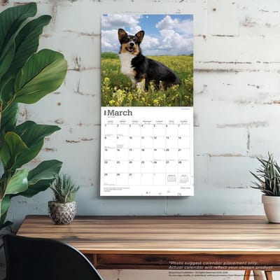 Welsh Corgi Kalender 2026