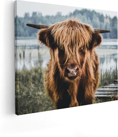 Artaza Canvas Schilderij Schotse Hooglander - 100x80 cm - Groot - Wanddecoratie Woonkamer - Muurdecoratie Dieren - Schilderijen Op Canvas