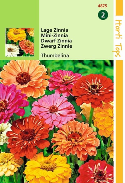 2 stuks - Hortitops - HT Zinnia Thumbelina laag gemengd