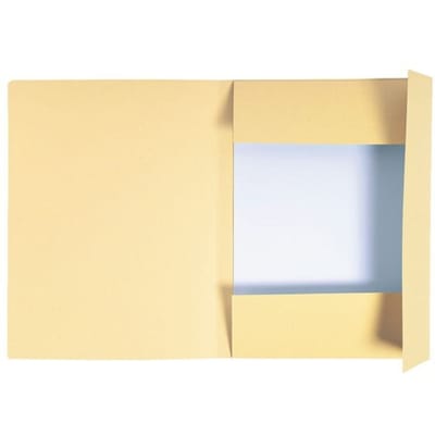 Exacompta 50x FOREVER® bedrukte map met 3 kleppen - 280gm2 - 24x32 cm voor A4 - Gems - 448002E