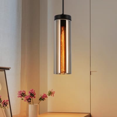 NETTLIFE Hanglamp Glas - 1-Lichts - E27 Fitting - Zwart - Hangend Eetkamerlamp - in Hoogte Verstelbaar 120cm - voor Keuken | Slaapkamer | Woonkamer - zonder Lampen