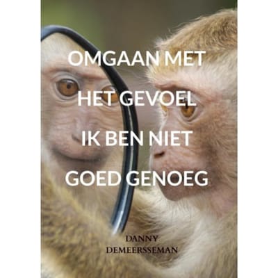 Omgaan Met Het Gevoel Ik Ben Niet Goed Genoeg - Danny Demeersseman