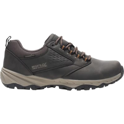 Heren Amble Low Waterdichte Schoenen