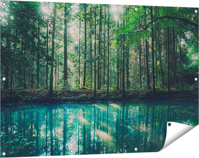 Gards Tuinposter Bos bij een Groen Meer - 120x80 cm - Tuindoek - Tuindecoratie - Wanddecoratie buiten - Tuinschilderij