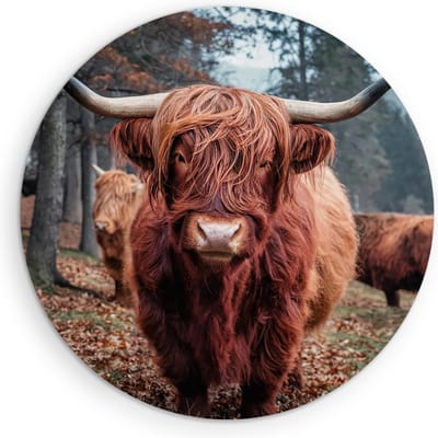 Saammp Muurcirkel Hout Schotse Hooglander Koe - Dieren - Natuur - Ø 90 - Wandcirkel - Wanddecoratie Cirkel - muurdecoratie Woonkamer - Slaapkamer decoratie - Rond Schilderij