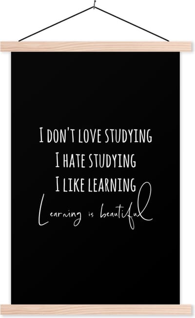 Posterhanger incl. Poster 40x60 cm - Schoolplaat - Quote - Leren - Studeren - Textielposter - Blanke latten
