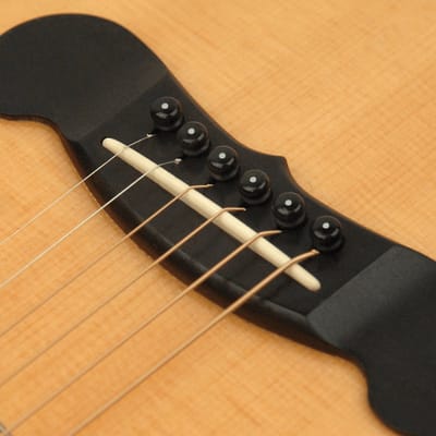 D'Addario PWPS10 brugpennen set zwart met Witte Stip 8-pack - Pegs