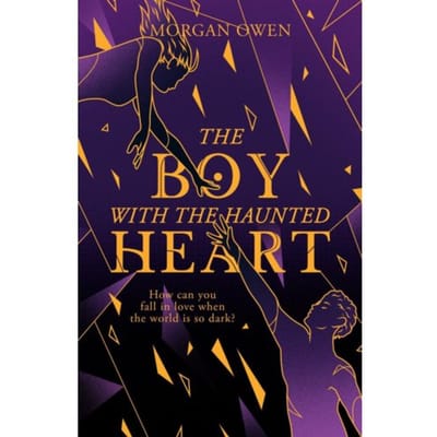 The Boy With The Haunted Heart - The Girl With No Soul - Morgan Owen