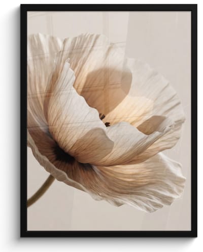 Poster in lijst - Fotolijst 60x80 cm - Posters - Bloem - Beige - Crème - Posterlijst zwart - Decoratie - Wanddecoratie woonkamer - Muurdecoratie slaapkamer