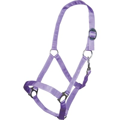 Halster voor paarden HKM Stars Economy