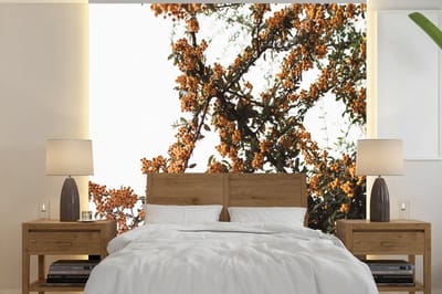 Behang - Fotobehang Bloemen - Takken - Natuur - Breedte 260 cm x hoogte 260 cm