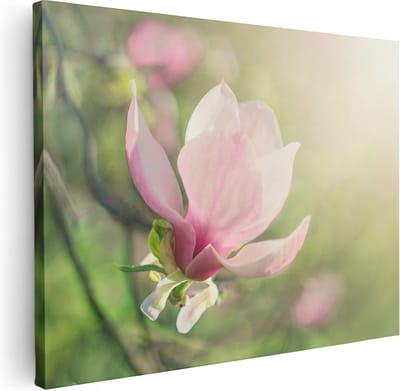 Artaza Canvas Schilderij Bloesem - 40x30 cm - Klein - Wanddecoratie Bloemen Roze - Muurdecoratie Natuur - Kamer Accessoires Lente