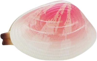 Buitenwaterspeelgoed - Kinder sprinkler - Interactief buiten spelen - Niet snel beschadigd - 6 x 4 x 4 cm