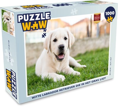 Puzzel Witte Labrador Retriever die in het gras ligt - Legpuzzel - Puzzel 1000 stukjes volwassenen