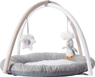 Nûby - Little Penguin Babygym - Zachte speelmat voor baby - Verwijderbare bogen en speeltjes - 0+ maanden