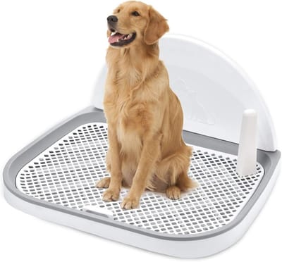 Honden Trainingspotje XL - Indoor Toilet met Rooster voor Kleine & Middelgrote Honden