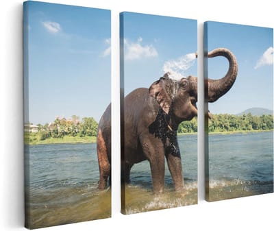 Artaza Canvas Schilderij Drieluik Vrolijke Olifant In Het Water  - 120x80 - Foto Op Canvas - Canvas Print