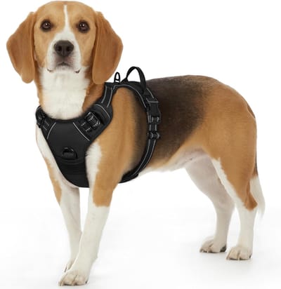 Hondentuig No Pull, Hondenharnas voor Kleine Honden, Verstelbare Harnas Hond met Reflecterend Strepen, Gewatteerd Zacht Ademend, Hondentuigje Anti-trek voor Wandelen Training, Zwart S