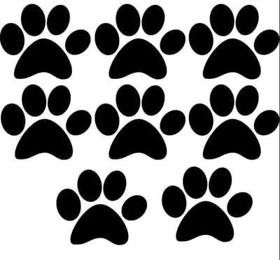 Hondenpootje / hondenpootjes - zwart - autostickers - 8 stuks - 4 cm x 5 cm - hondenpoot - hondensticker