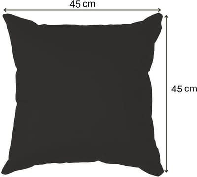 Tuinkussens Set - Buitenkussens Sierkussens - Terras Meubilair - Waterbestendig Duurzaam - 45x45 cm - Zwart