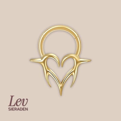 Lev Sieraden - Titanium premium neus ring - Hart piercing Goud - 1.2x8mm - 18mm x 16mm Goud - Segment ring - neuspiercing - tragus piercing - Oorpiercing
