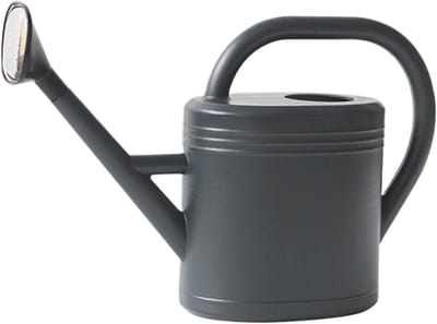 Gieter 3 Liter - Waterkan Tuin - Planten Water Geven - Lange Schenktuit - 15 x 29 x 15 cm