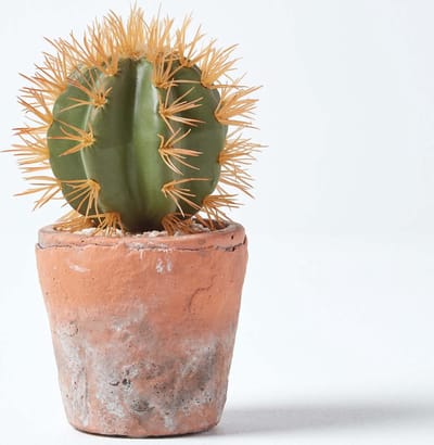 Homescapes Kleine kunstcactus met oranje doornen in een terracotta pot, 15 cm hoog