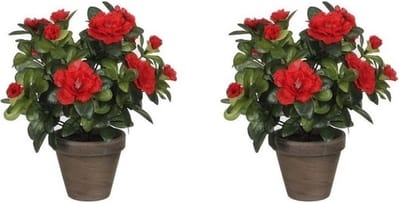 Mica Decorations Kunstplant - 2x - Azalea - groen/rood - 27 cm - Met mooie bloemen