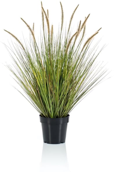 Emerald - Kunstplant Pennisetum Gras 85cm - Kunstplant voor binnen