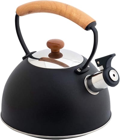 Fluitwaterkoker RVS - Theepot Ketel - Water Koken - Hittebestendige Handgreep - 2.8L Capaciteit - Zwart