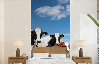 Behang - Fotobehang Koeien - Platteland - Weiland - Natuur - Dieren - Breedte 120 cm x hoogte 240 cm