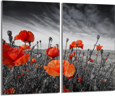 TMK ArtDeko - Serie Bescherming - Glazen Beschermer - 2x30x52 cm - Maki