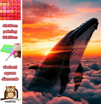40x30cm Diamond Painting walvis wolken (vierkant) nr 173