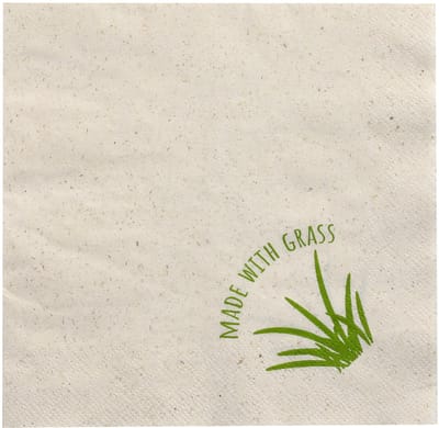 250 Servetten, 2-laags 1/4 vouw 33 cm x 33 cm natuur met grasvezels