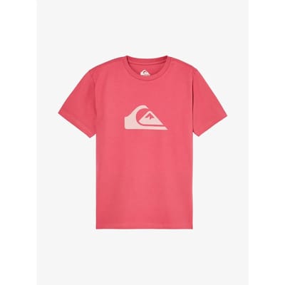 Quiksilver Evo Comp Logo T-shirt Met Korte Mouwen Roze 14 Years Jongen