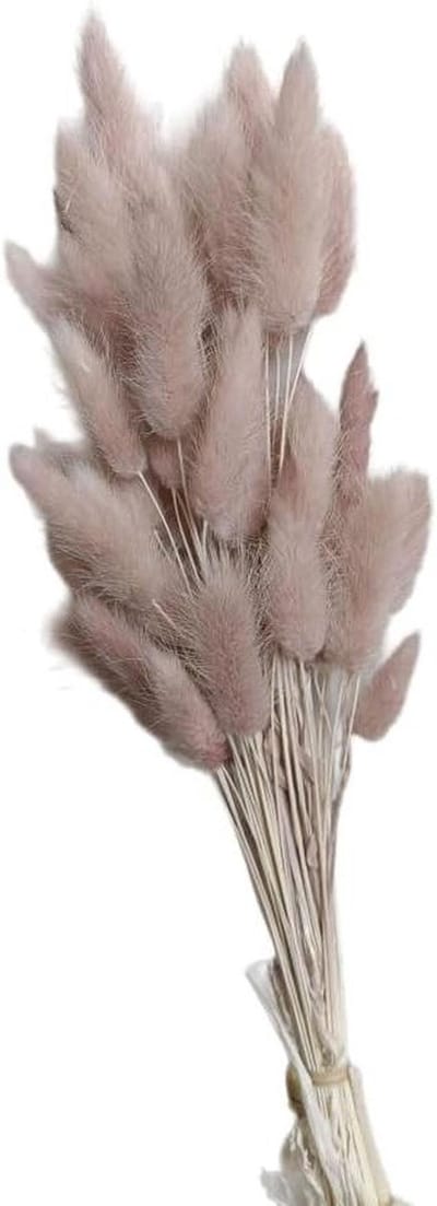 Gedroogd Pampasgras - Droogbloemen Boeket - Boho Interieur Decoratie - Natuurlijk en Onderhoudsvrij - 50 Stuks 60cm - Koffiegrijs